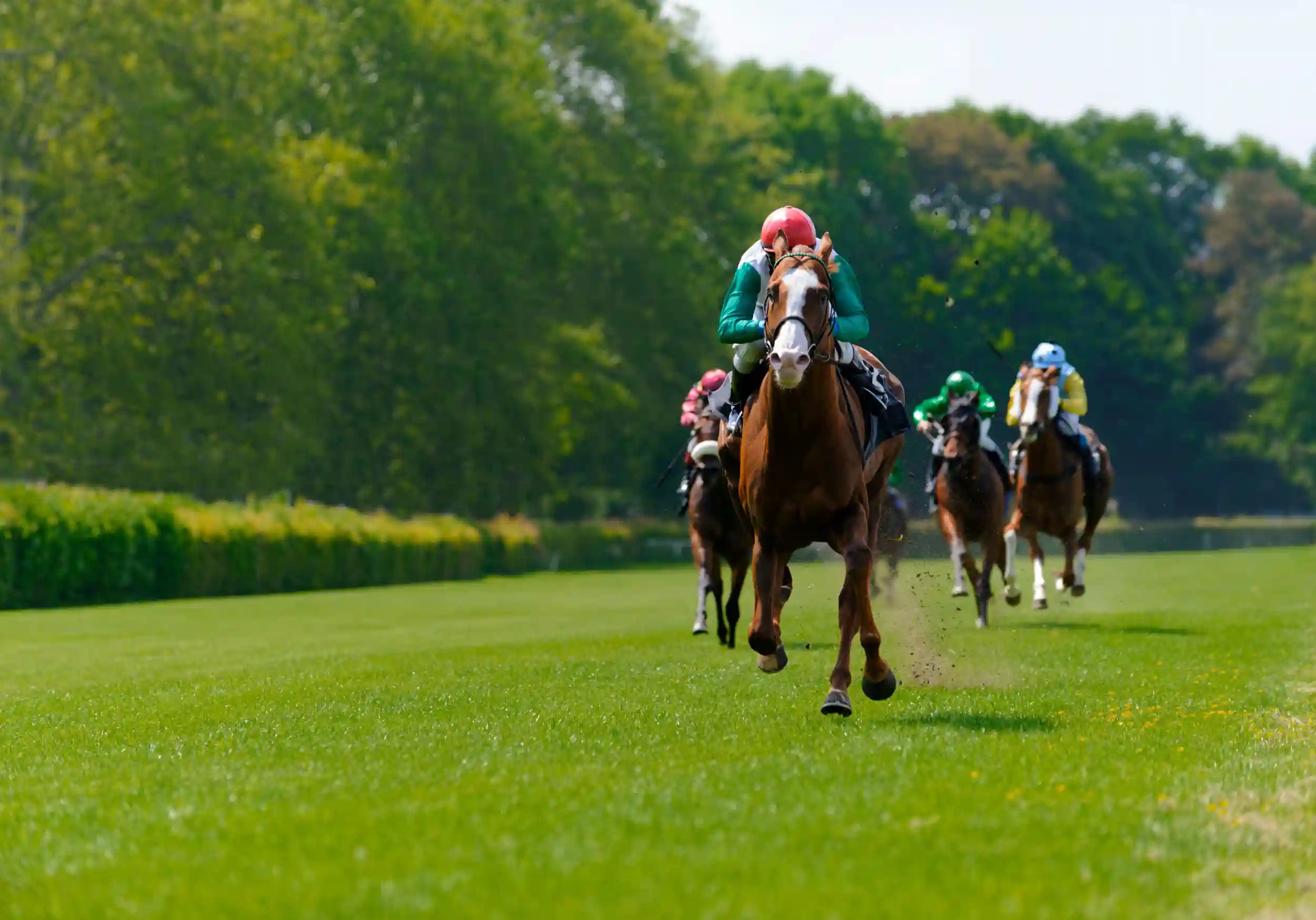 Jockey racing a horse