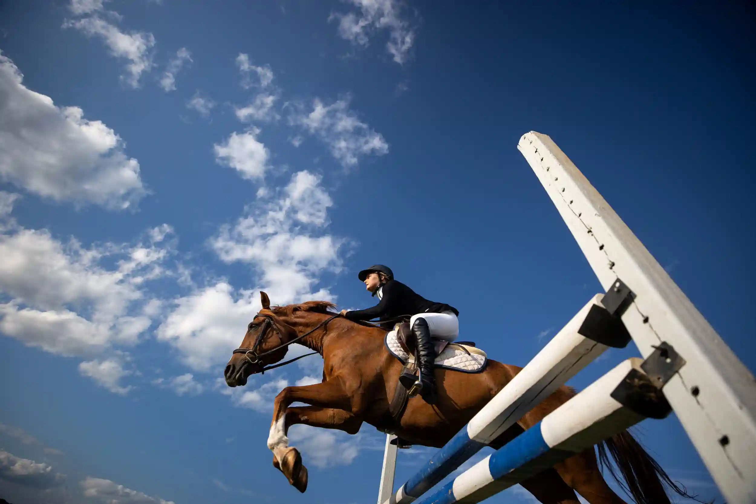 A girl on a brown horse jumping a fence.