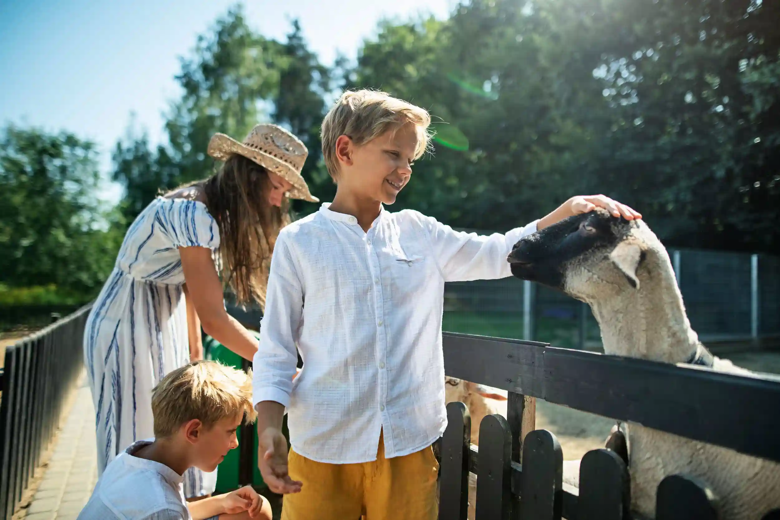 Children petting sheep.