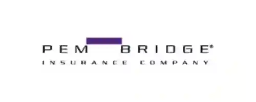 Pem Bridge logo
